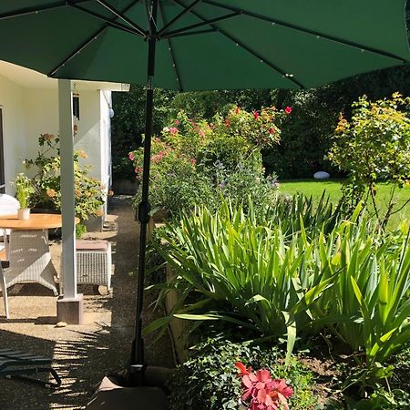 Ferienwohnung Secret Garden Mullheim  Exterior foto