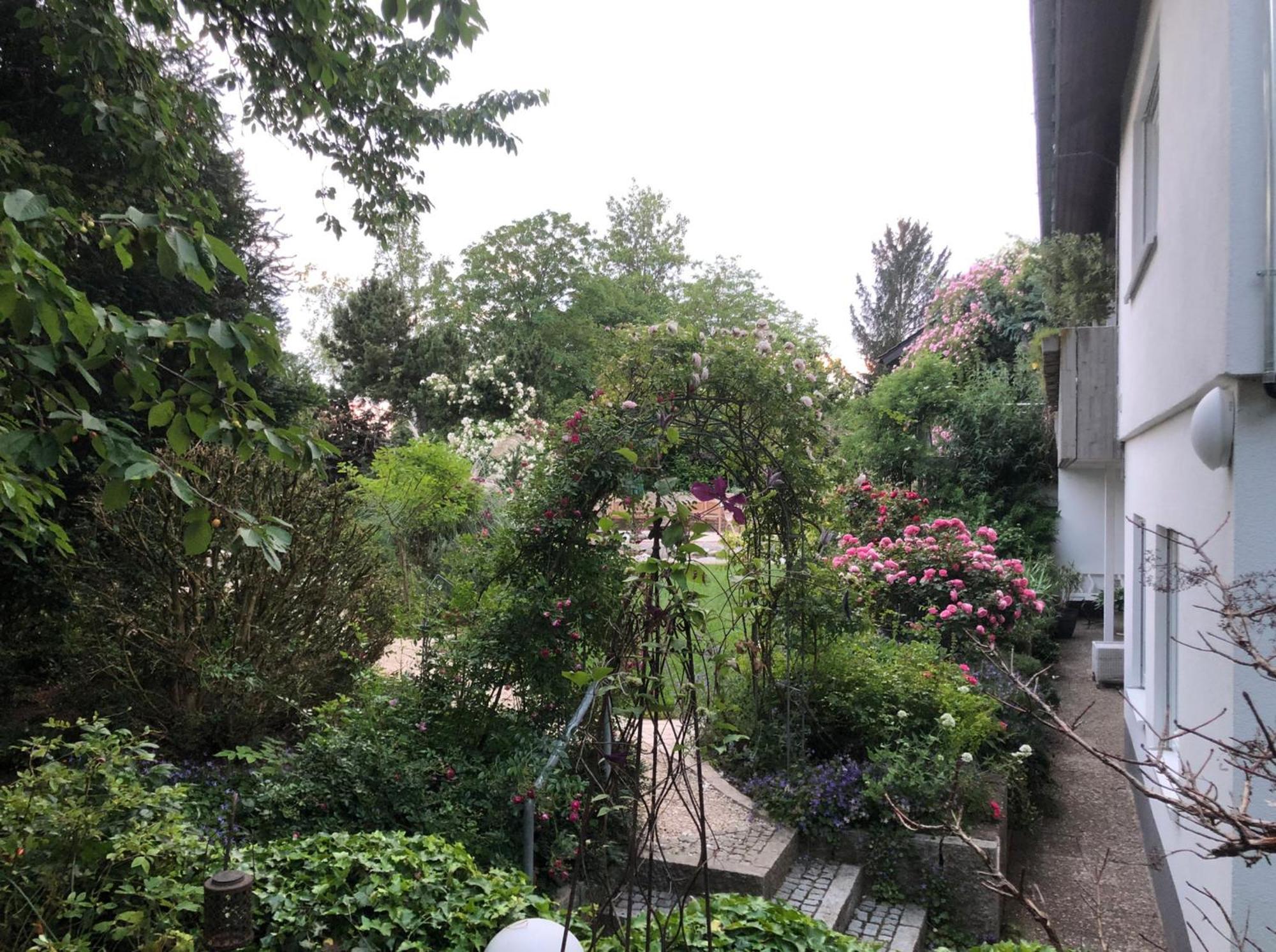 Ferienwohnung Secret Garden Mullheim  Exterior foto